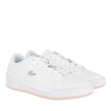 lacoste white challenge trainers