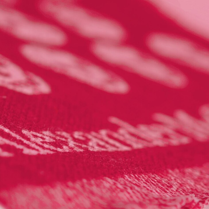 Alexander McQueen Skull Scarf Lacquer/Pink | Wollen Sjaal | fashionette
